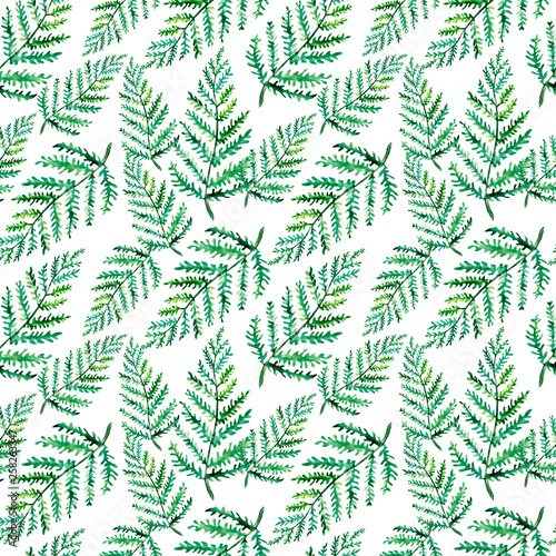Seamless watercolor Greenery Pattern. Fern Leaves and Branches Print. Summer  Spring Forest Herbs  Plants Texture.