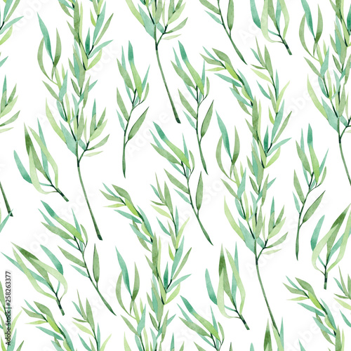 Fototapeta Naklejka Na Ścianę i Meble -  watercolor seamless pattern herbs. Summer print