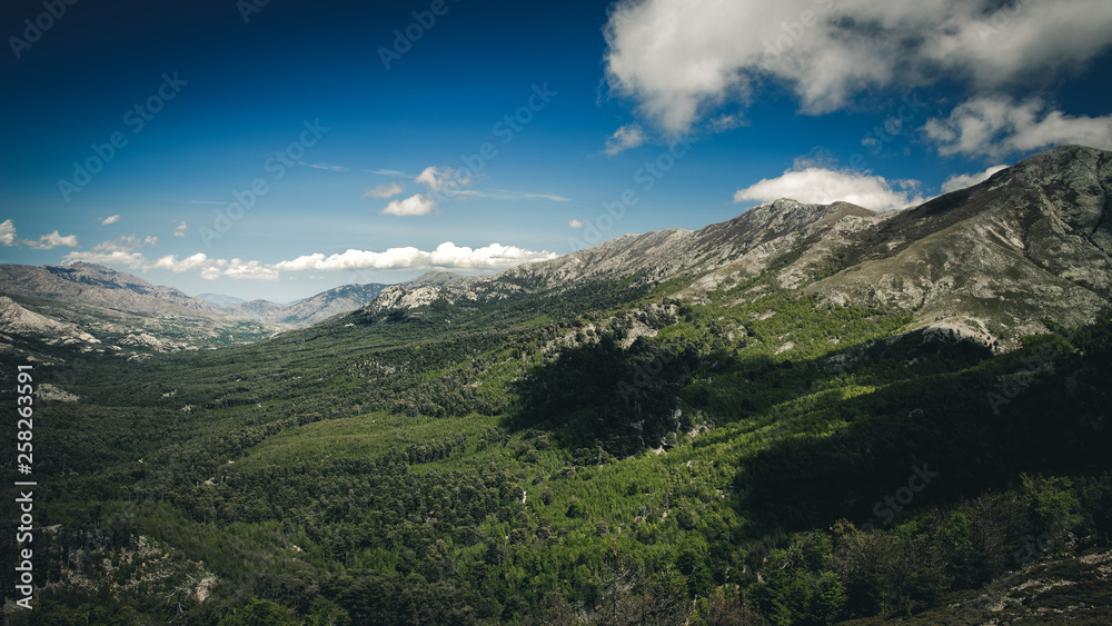 Korsikas alpine Welt.