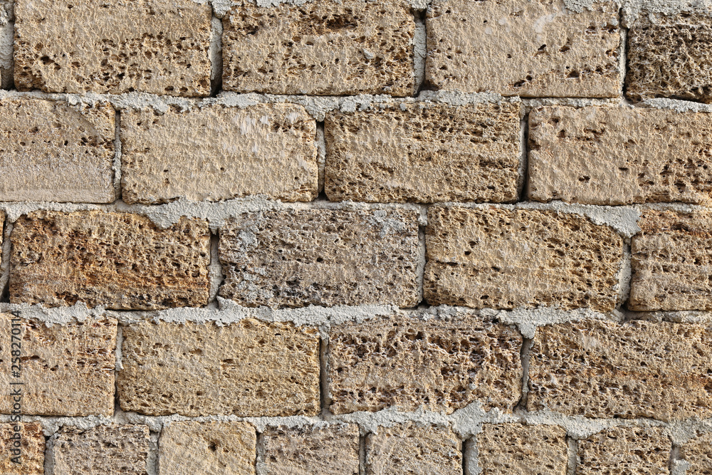 Fototapeta premium Crimean coquina
