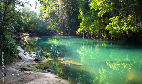 The Rio Grande (not related to the river on the Mexico/US border) flows through beautiful and dense jungle in southern Belize. This idyllic swimming location has a handrail and stepping stones.