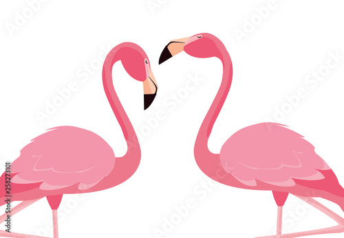 elegant flamingo birds couple © djvstock