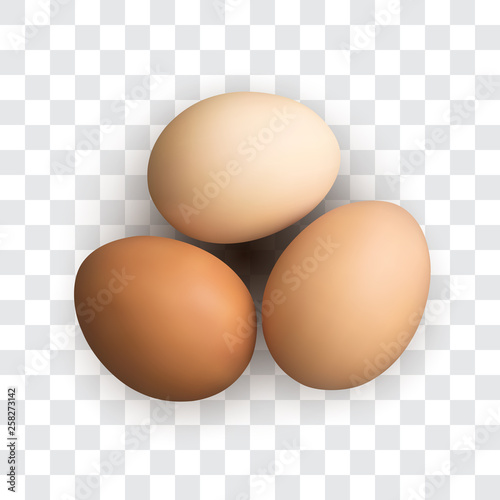 Set of Realistic Dark and Light Brown Whole Chicken Eggs