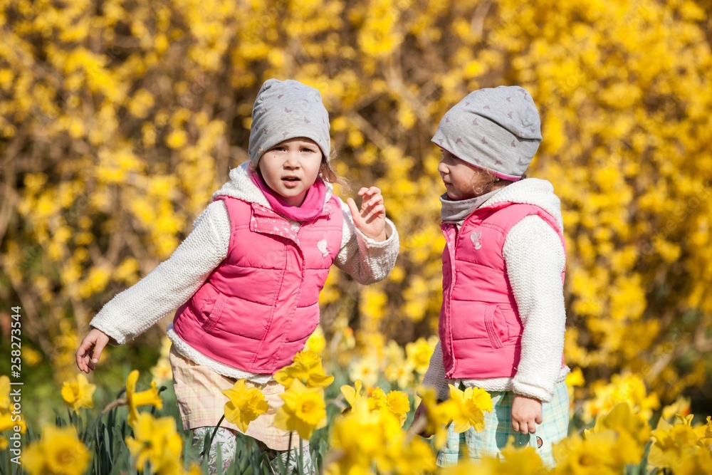 cute twin sisters, embrace on a background field with yellow flowers, happy cute and beautiful sisters having fun with yellow flowers in spring in park, cheerful holidays outdoors, healthy lifestyle cute twin sisters, embrace on a background field with yellow flowers, happy cute and beautiful sisters having fun with yellow flowers in spring in park, cheerful holidays outdoors, healthy lifestyle