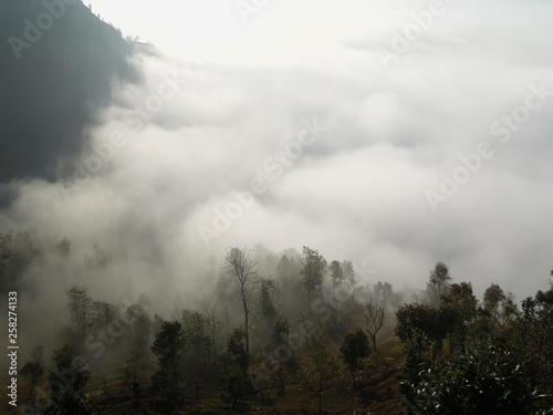 Misty Hill And Trees At Gulmi Nepal