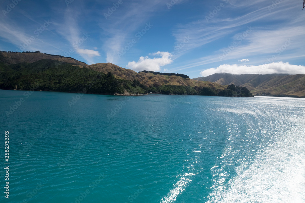 Mountain views, streams and lakes and plants of New Zealand Mountain views, streams and lakes and plants of New Zealand