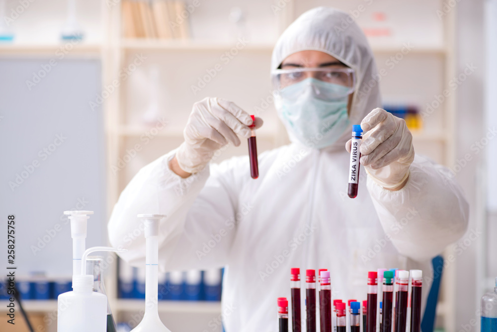Young handsome chemist working in the lab Young handsome chemist working in the lab