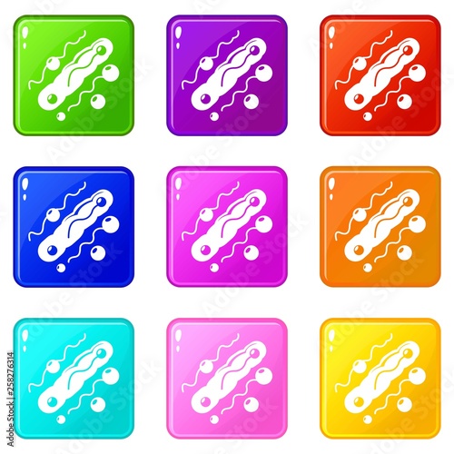 Corynebacterium icons set 9 color collection isolated on white for any design
