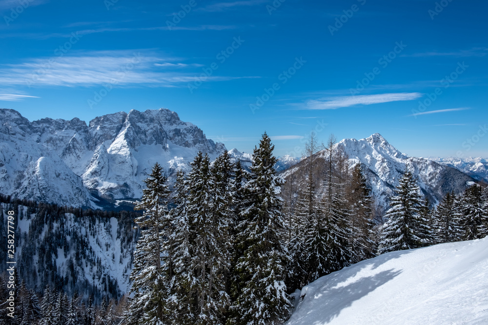 winter day in the alps of Friuli Venezia-Giulia