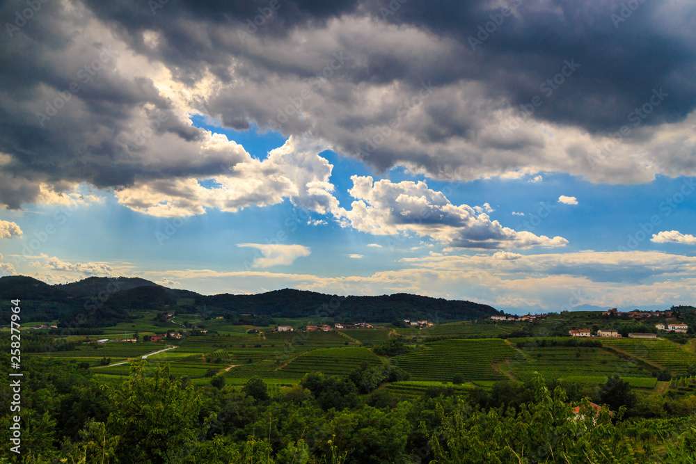 Stormy day in the vineyards of Brda, Slovenia