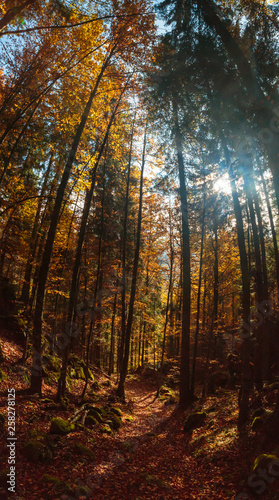 trekking path in an autumn day in the alps