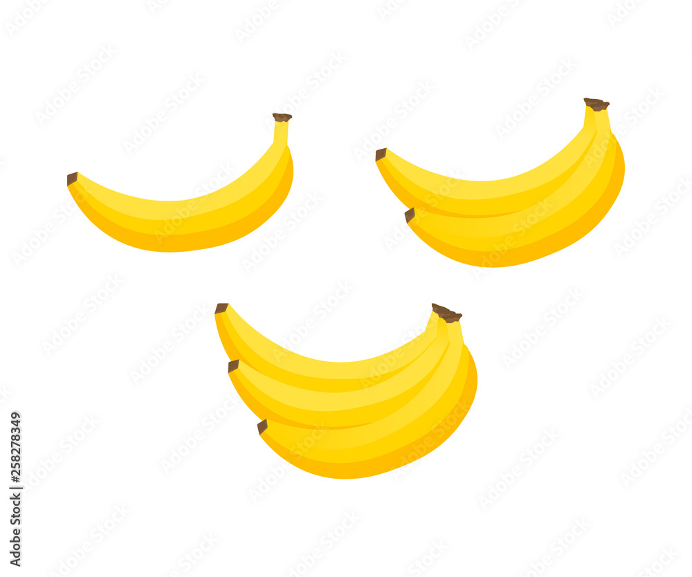 Vector banana. Bunches of fresh banana fruits isolated on white background, collection. Vector illustration.