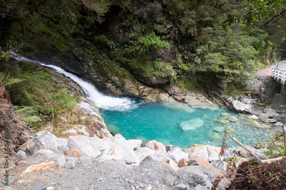Mountain views, streams and lakes and plants of New Zealand Mountain views, streams and lakes and plants of New Zealand