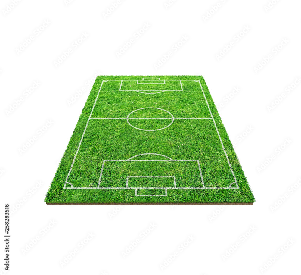 Soccer football field isolated on white background with clipping path.  Soccer stadium background with line pattern and of green field. Stock Photo  | Adobe Stock