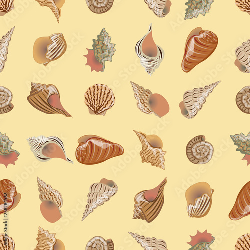 Seamless vector pattern. Sea and river cockleshells of different types and forms. Realistic tropical animals. Illustration for gift paper, packaging, cards and banners. Seamless vector pattern