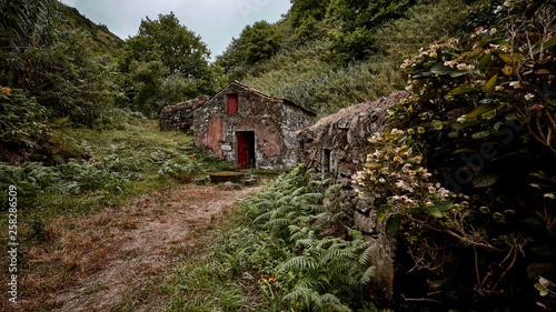 Alte verlassene Mühlenruine auf den Azoren. © Georg