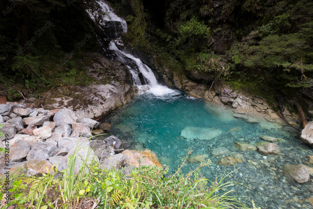 Mountain views, streams and lakes and plants of New Zealand Mountain views, streams and lakes and plants of New Zealand