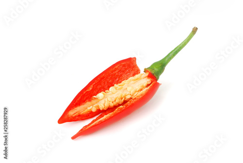 Capsicum frutescens L. Chilli Pepper.Chili has anti-oxidants, helps slow down aging. photo