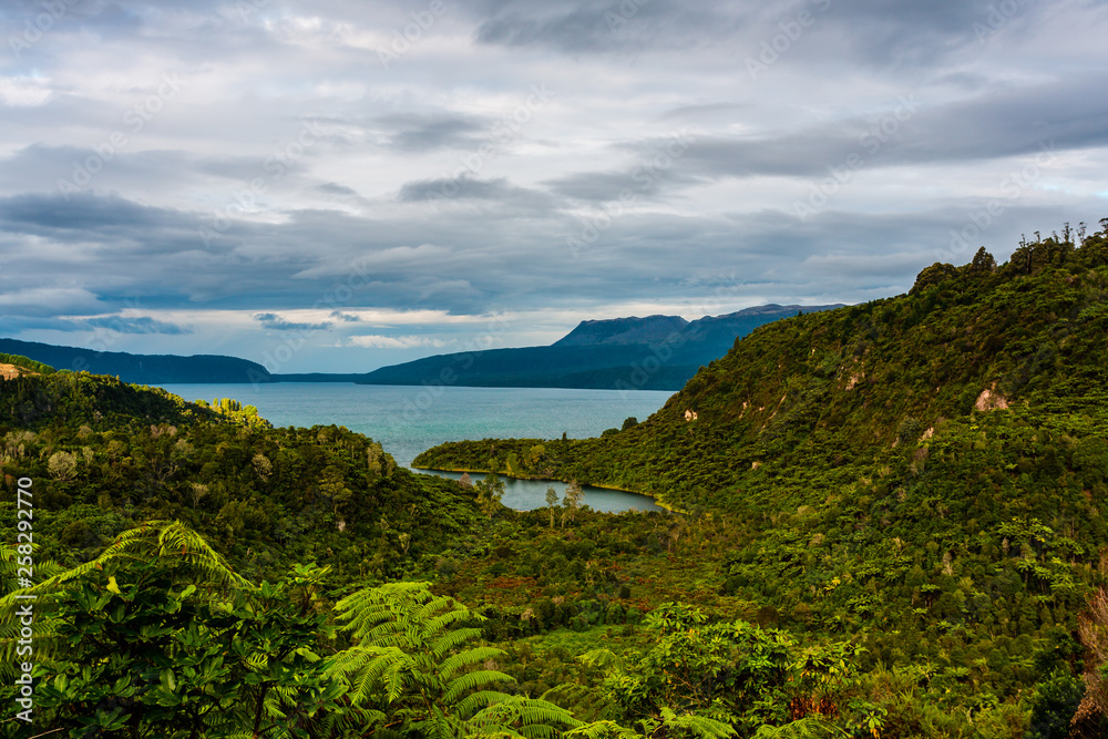 Obraz premium Lake Tarawera 