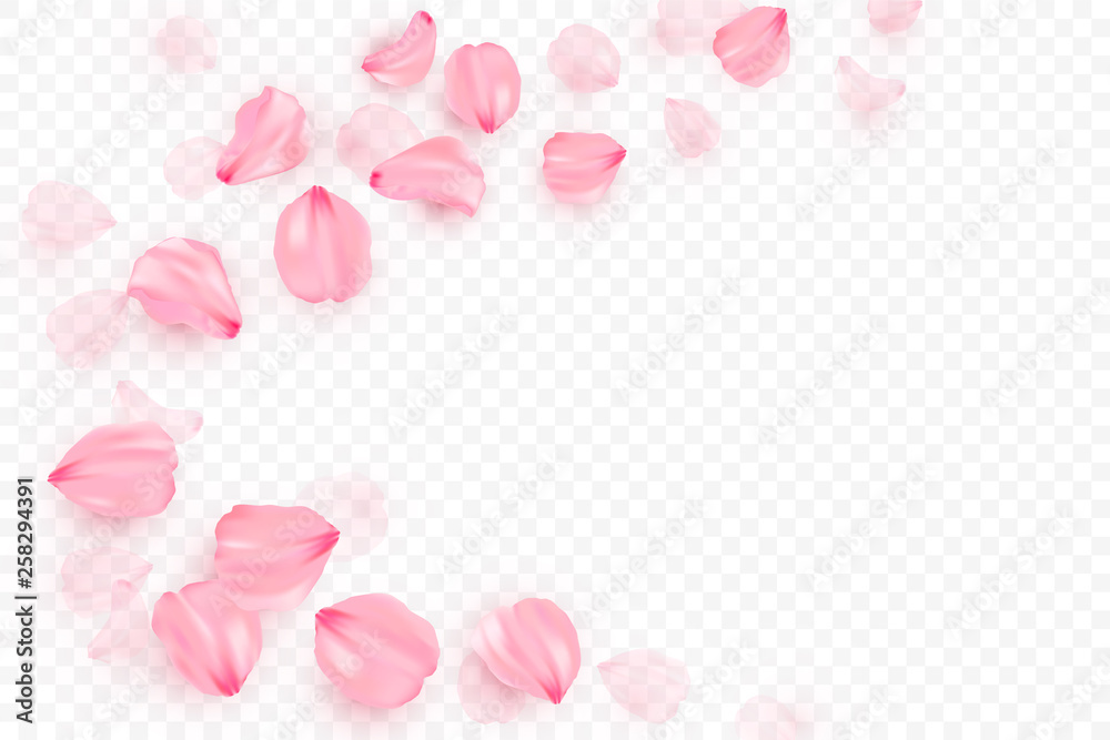 Pink sakura falling petals vector background. 3D romantic illustration. Transporent banner with sakura