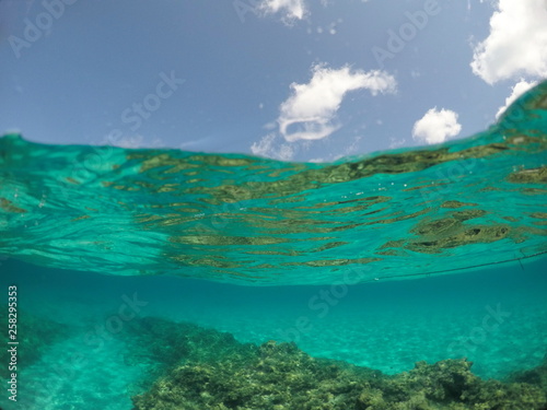 Fototapeta Naklejka Na Ścianę i Meble -  Underwater image in Formentera Balearics Spain