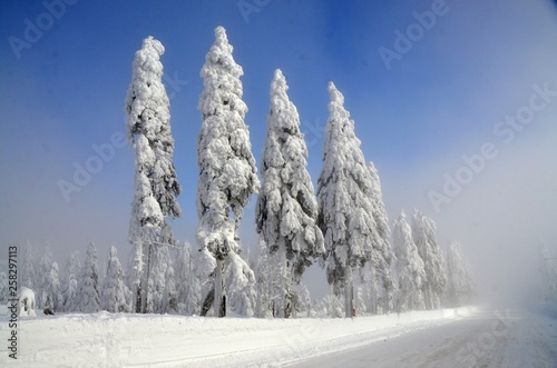 Winter nature in Klinovec Karlovy Vary region 