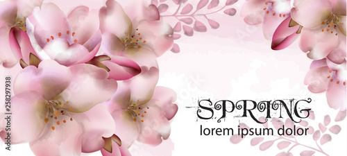 Cherry flowers watercolor Vector. Delicate spring blossom backgrounds