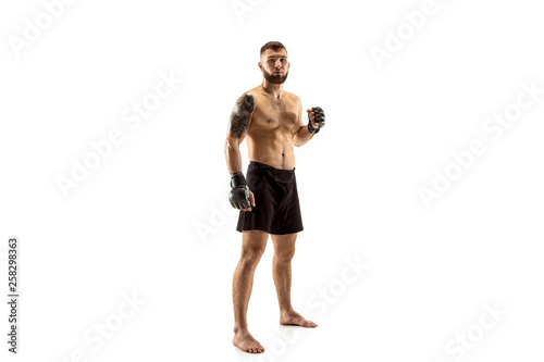 Obraz na płótnie MMA