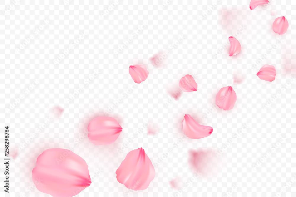 Pink sakura falling petals vector background. 3D romantic illustration. Transporent banner with sakura. Love card Pink sakura falling petals vector background. 3D romantic illustration. Transporent banner with sakura. Love card