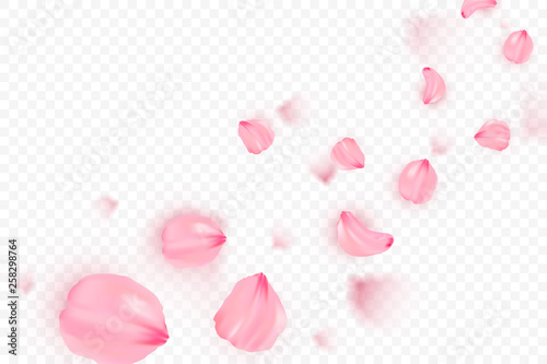 Pink sakura falling petals vector background. 3D romantic illustration. Transporent banner with sakura. Love card