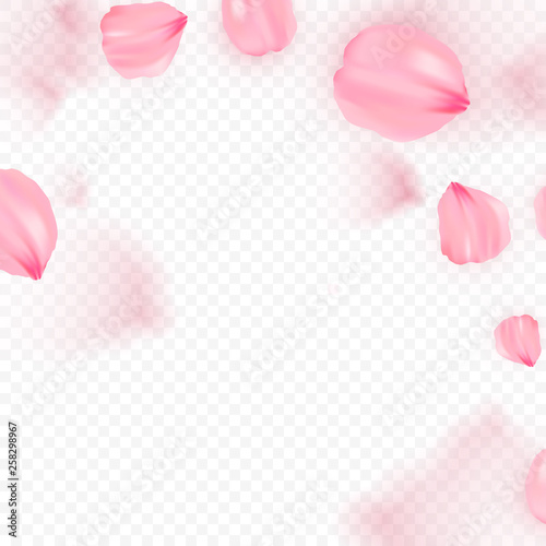Pink sakura falling petals vector background. 3D romantic illustration. Transporent banner with sakura. Love card