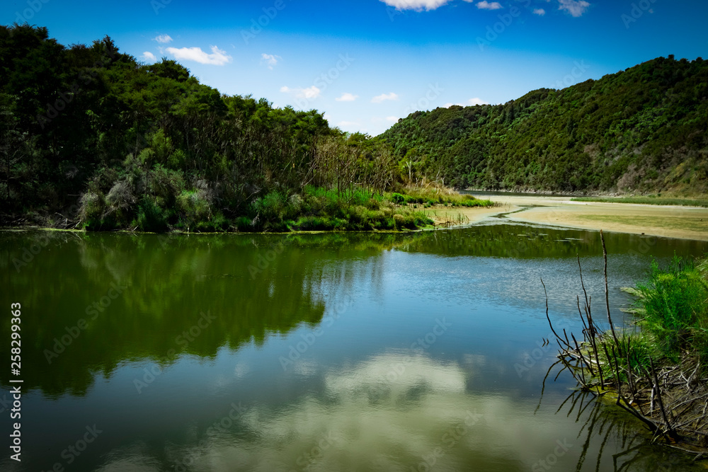 Fototapeta premium Mountain views, streams and lakes and plants of New Zealand