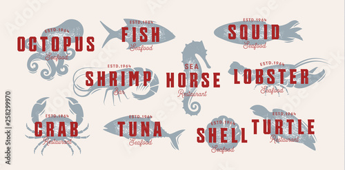 Seafood vintage logo set. Sea creatures, fishing or restaurant emblems. Retro style logo template. Modern emblem idea. Concept design for business. Isolated vector illustration on white background.