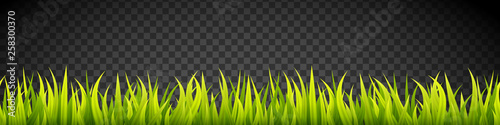 Fresh and green grass banner lines. Herbal growth overlay. Sport field coating.