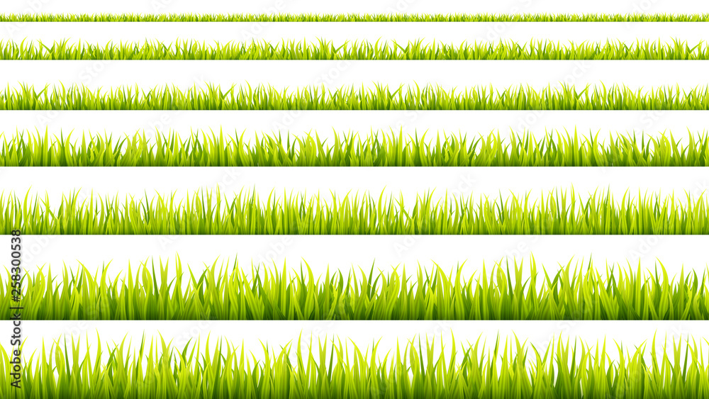 Fototapeta Grass banner. Cereal sprouts. Springtime growth greenery. Green turf overlay stripes.