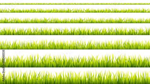 Grass banner. Cereal sprouts. Springtime growth greenery. Green turf overlay stripes.