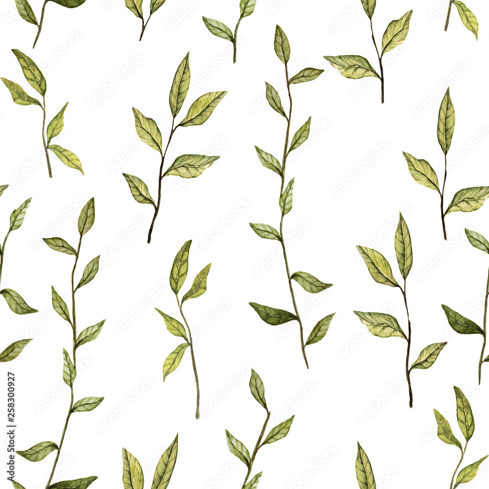 Fototapeta premium watercolor botanical seamless pattern
