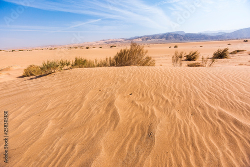 Wadi Araba desert. Jordan landscape