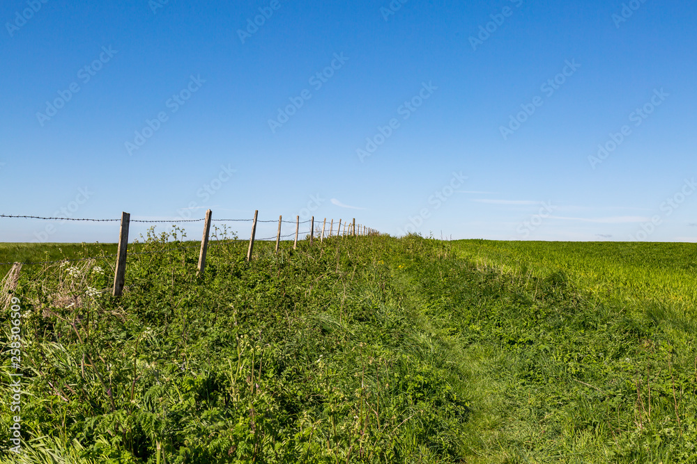 A fence running alongside green fields, with a clear blue sky overhead A fence running alongside green fields, with a clear blue sky overhead