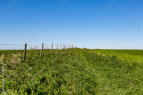 A fence running alongside green fields  with a clear blue sky overhead