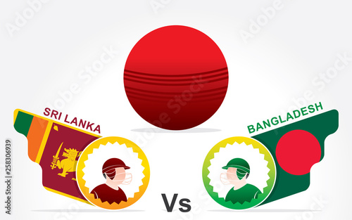 playing cricket team sports poster