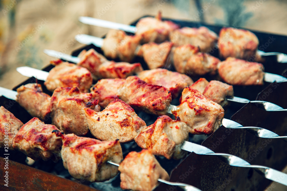 Meat skewers being grilled in a barbecue