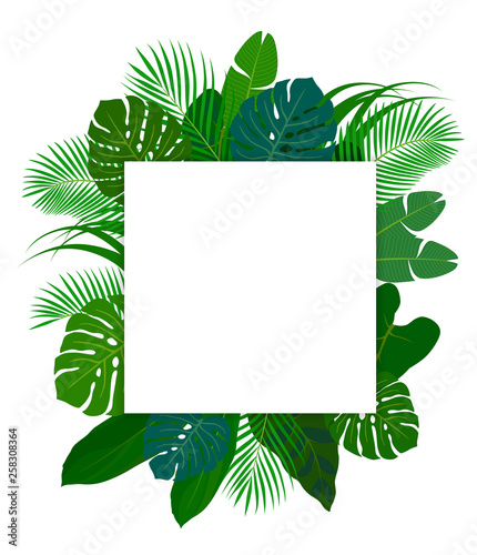Tropical plant leaves frame material