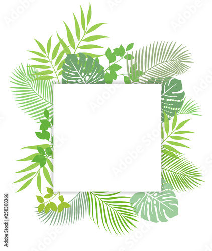 Tropical plant leaves frame material