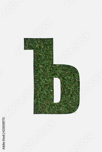 top view of cyrillic letter with green natural grass on background isolated on white