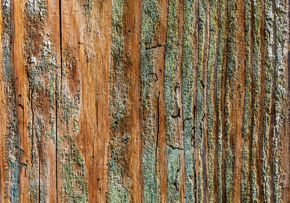 Fototapeta premium Old Wood Texture
