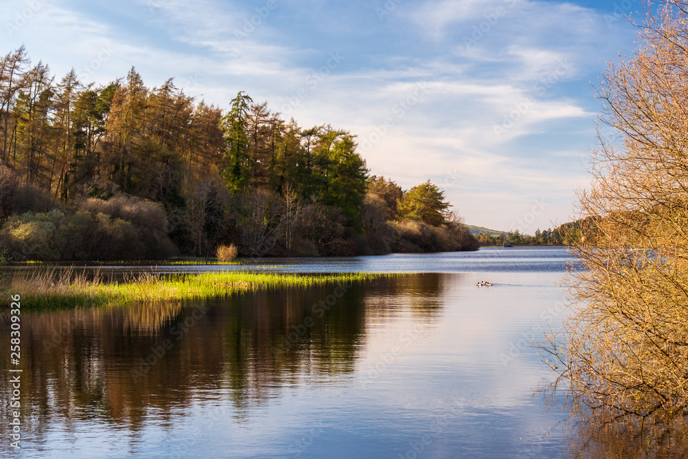 Tranquil and magical lake scene at the golden hour with lovely trees and cloud reflections. Beautiful spring evening at Bohernabreena Reservoir in Glenasmole Valley, Dublin, Ireland.