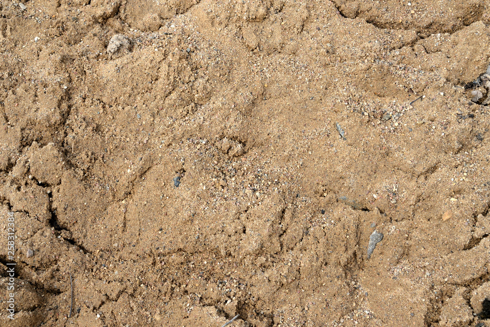 Large pile of construction sand close up as texture and background Large pile of construction sand close up as texture and background