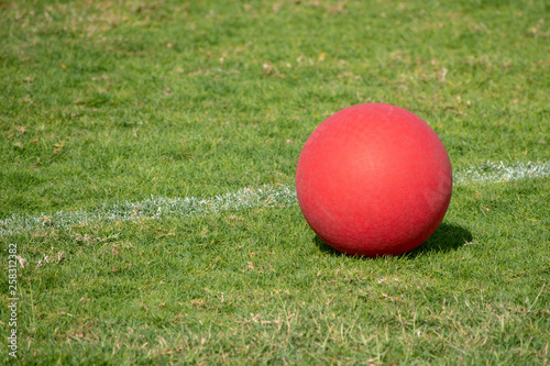 Red Playground kickball ball on the green grass in the bright sunshine. Summer fun.