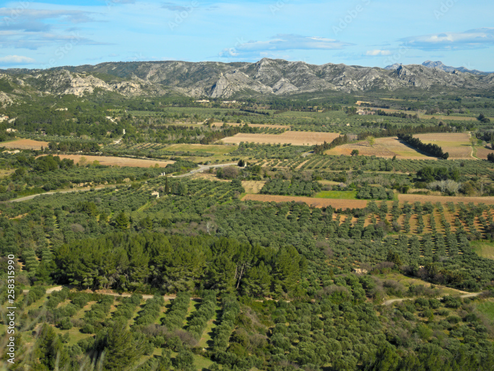 Naklejka premium Paysage provençale